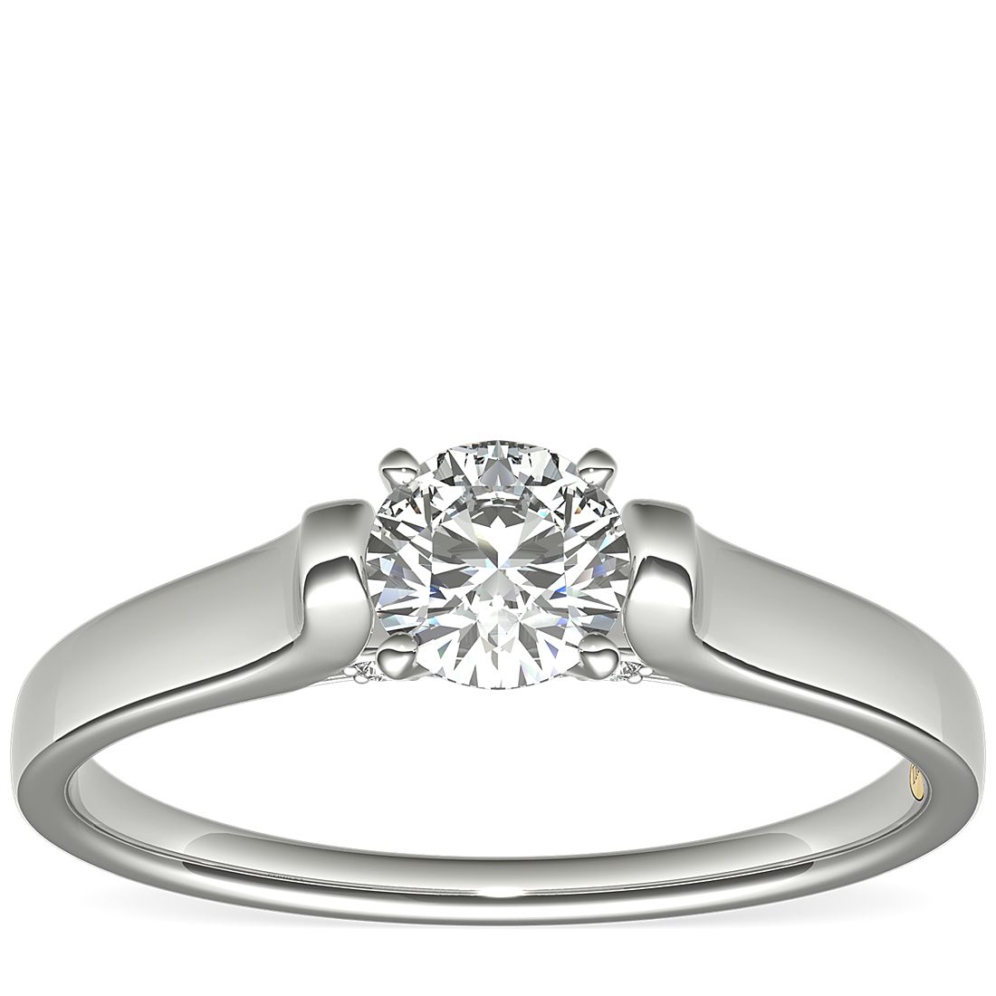1/2 Carat Ready-to-Ship ZAC ZAC POSEN Cathedral Solitaire Plus Diamond Engagement Ring in Platinum