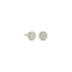 Diamond Halo Stud Earrings in 14k Yellow Gold (0.23 ct. tw.)