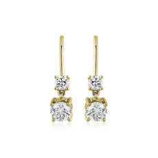 Double Diamond Drop Earrings in 14k Yellow Gold (2 ct. tw.)