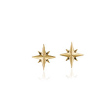 North Star Earrings in 14k Yellow Gold