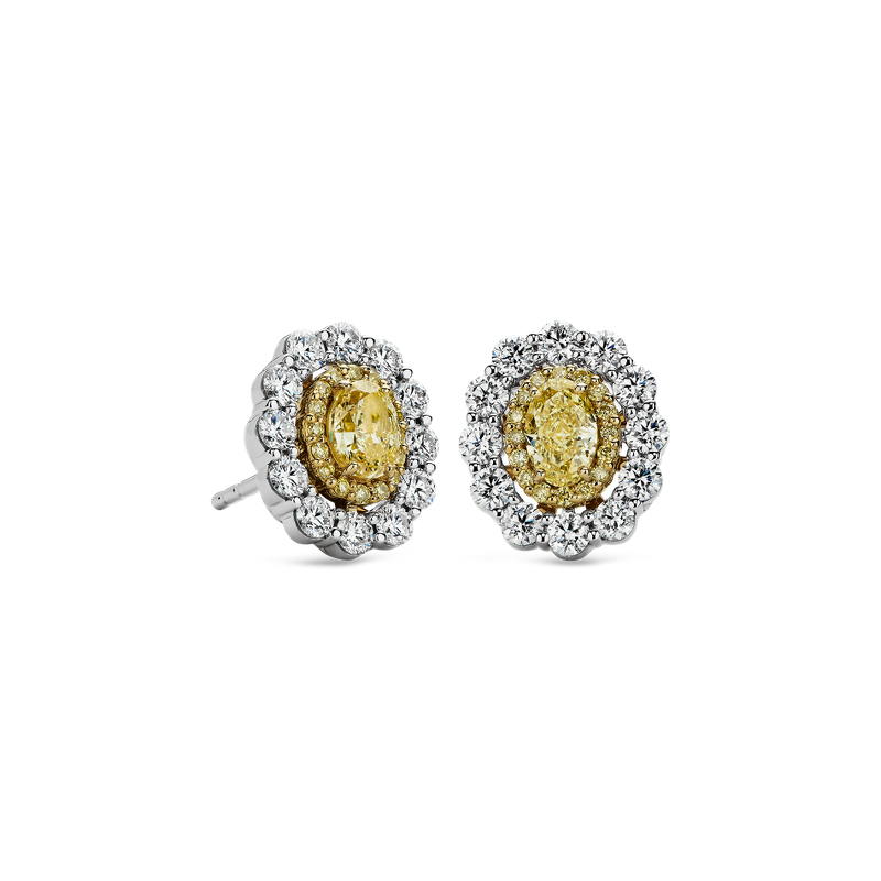 Double Halo Yellow and White Diamond Stud Earrings in 18k Yellow