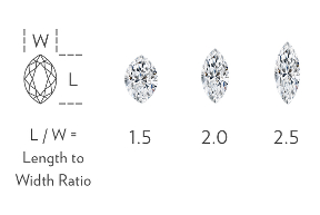 Marquise-Cut Width to Height Ratio