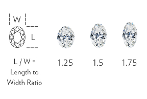 Oval Width to Height Ratio