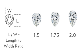 Pear-Shaped Width to Height Ratio