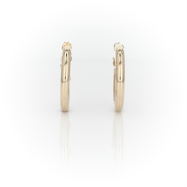 Small Hoop Earrings in 14k Yellow Gold (2 x 15 mm)